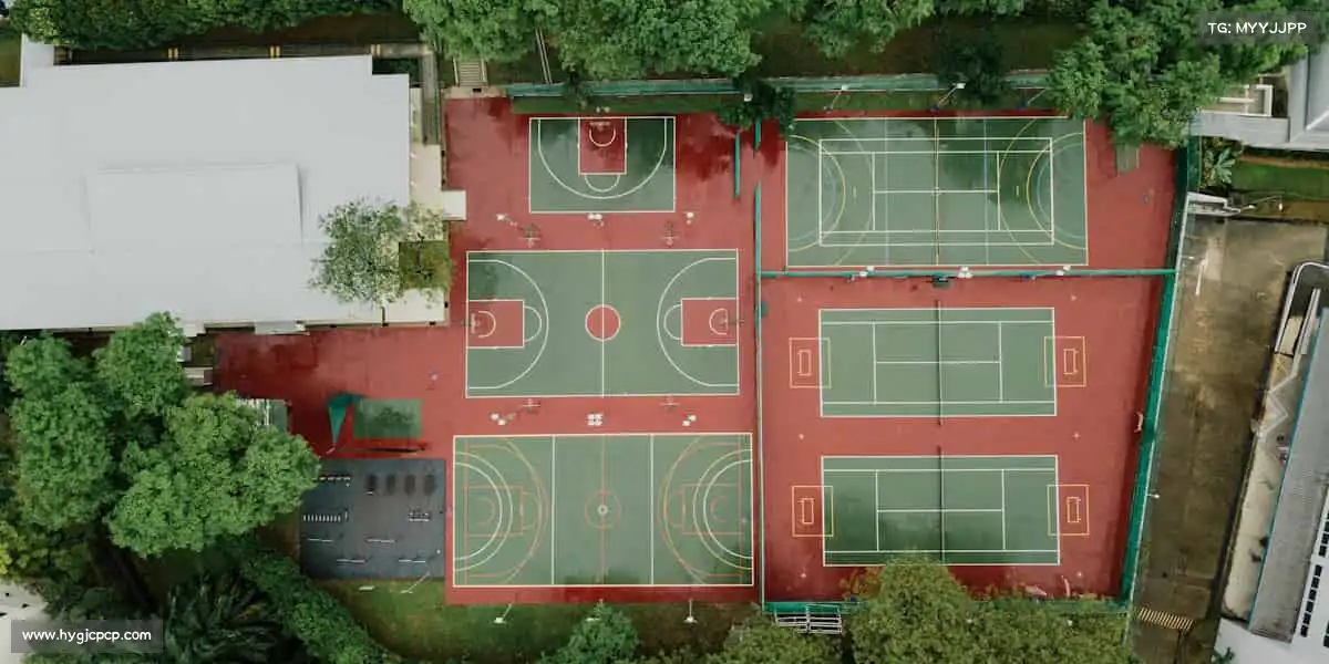 为什么选择我们